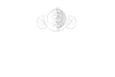 schoefferhofer-weizen